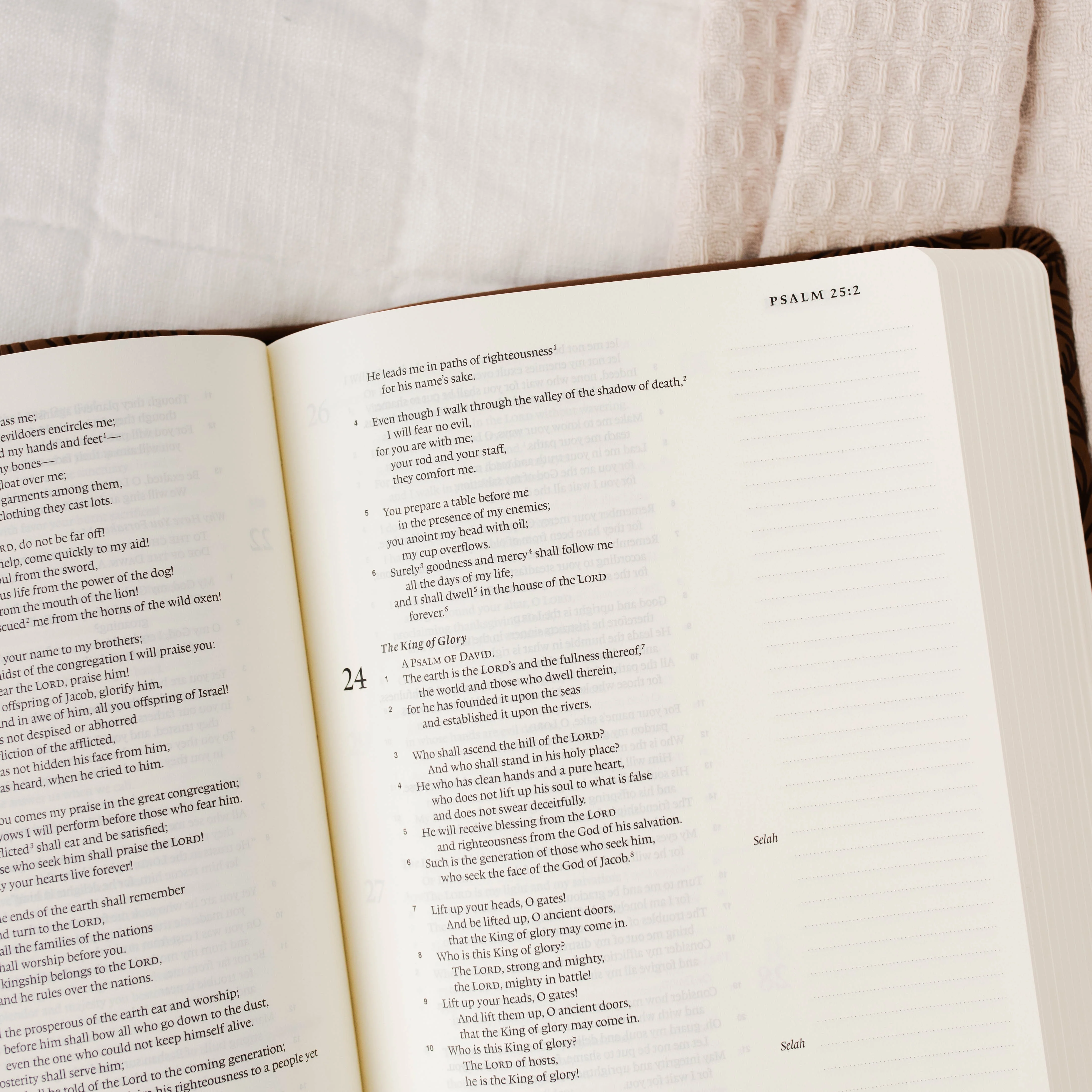ESV Single Column Journaling Bible® - Treasured - Image 3