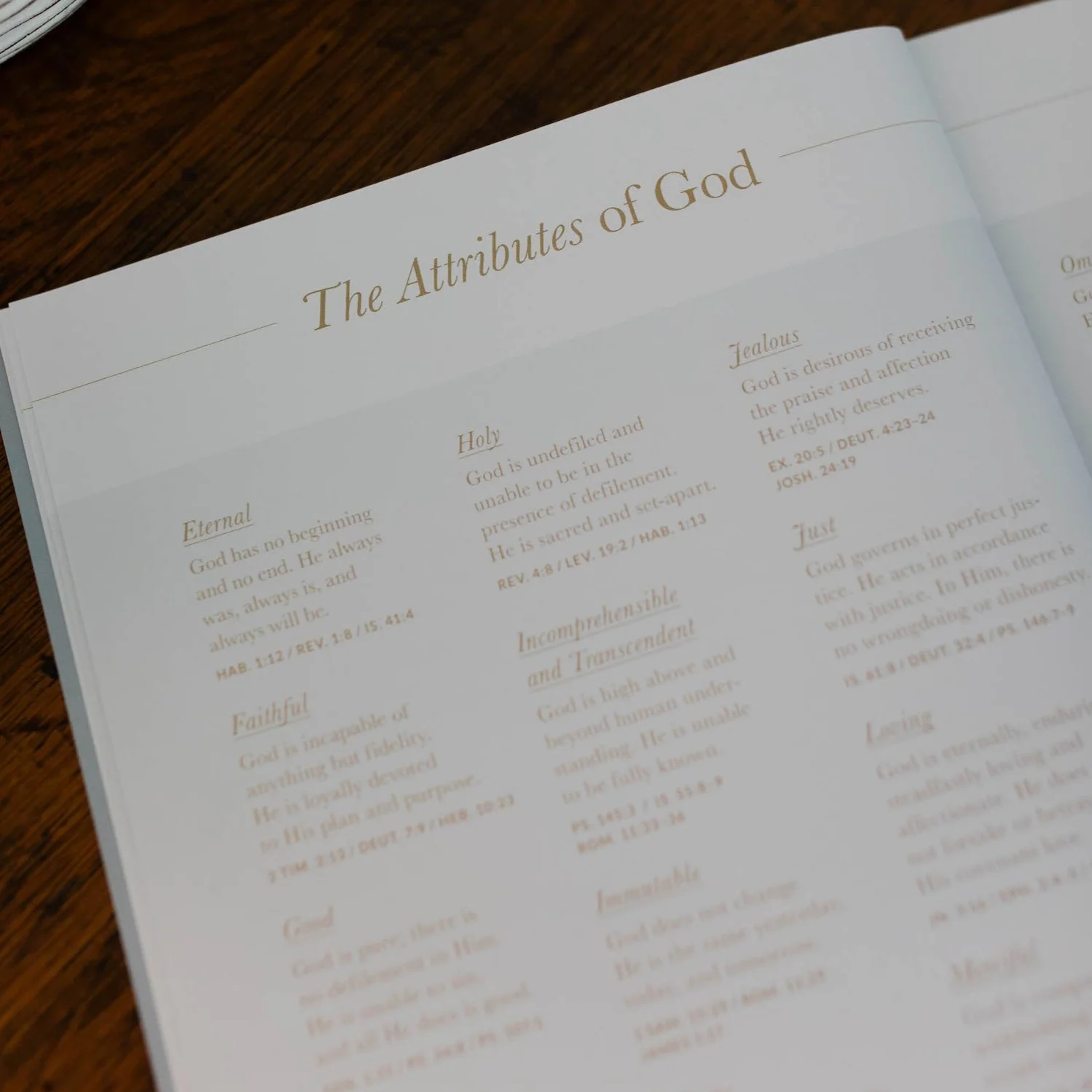 Wait | Psalms 31-60 Bible Study - Image 3