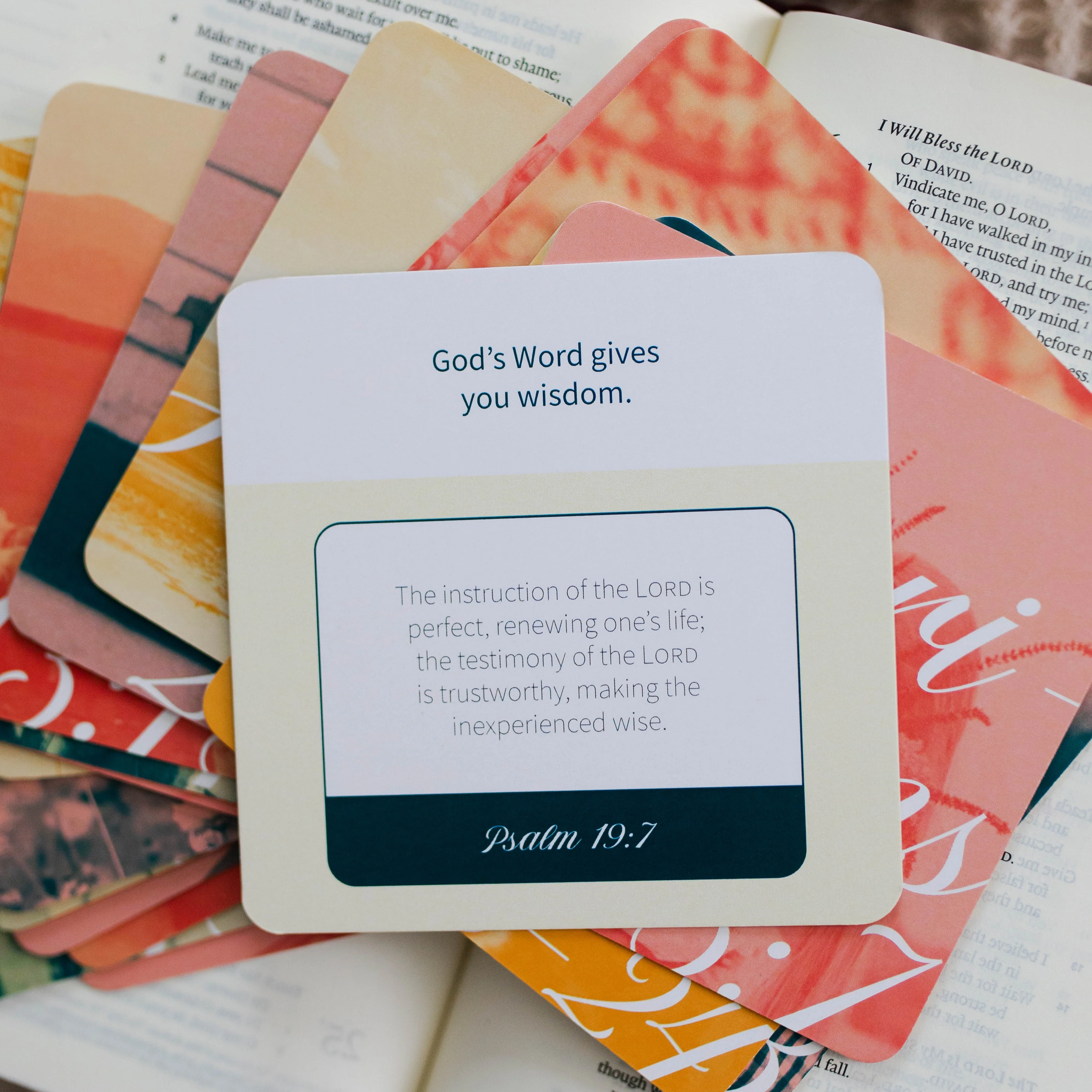 Women in Ministry Verse Cards - Image 4