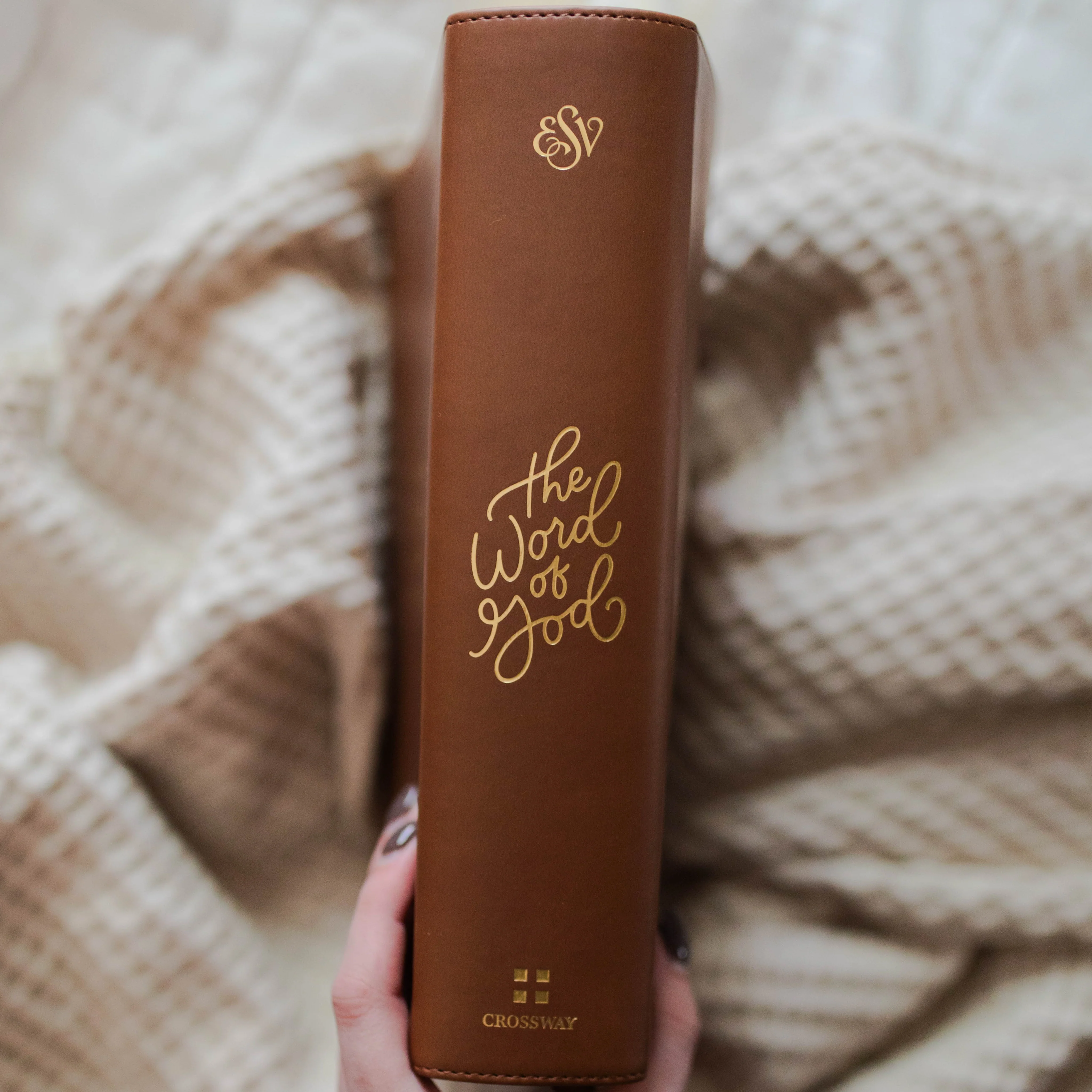 ESV Study Bible, TruTone® | Wondrous Things - Image 4