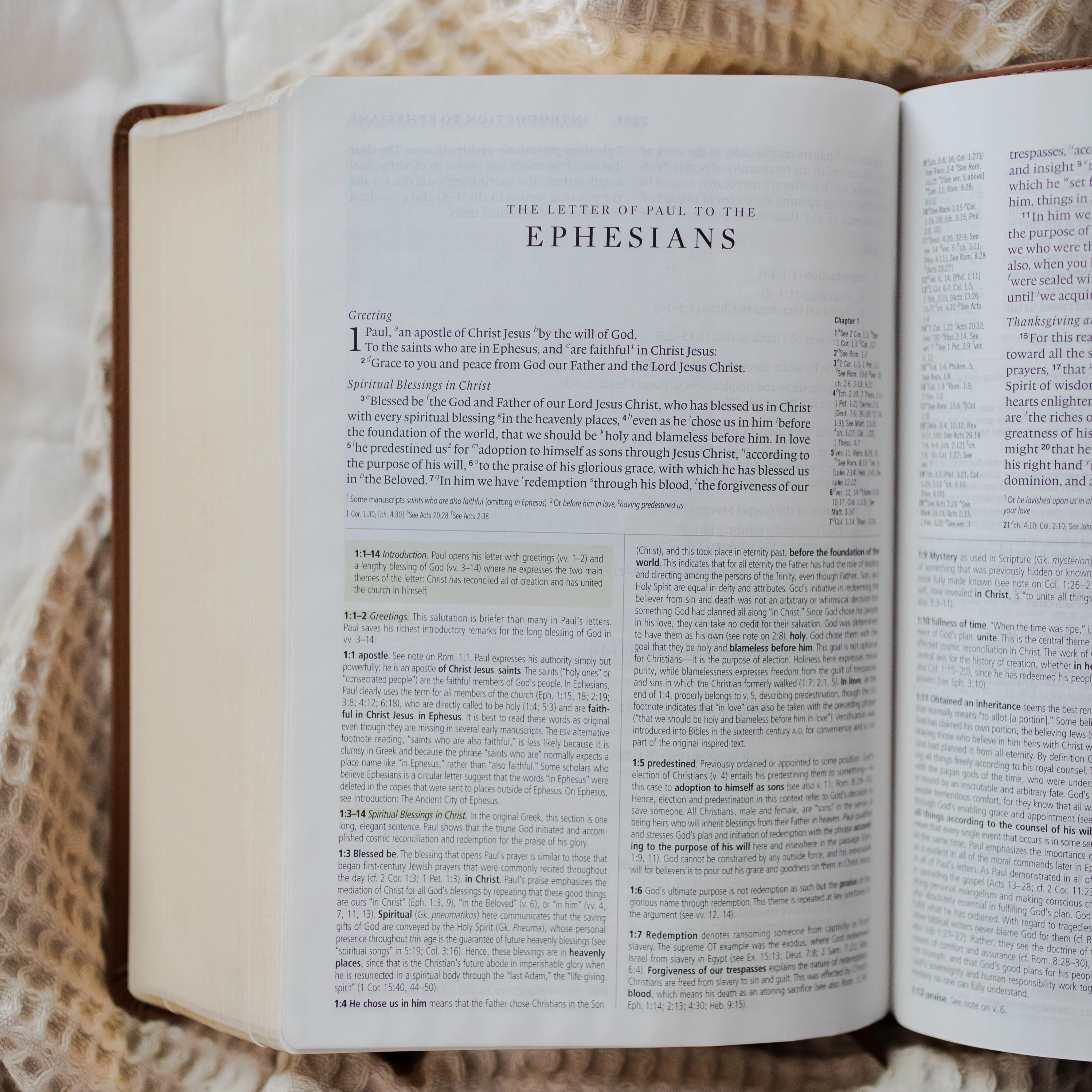 ESV Study Bible, TruTone® | Wondrous Things - Image 5