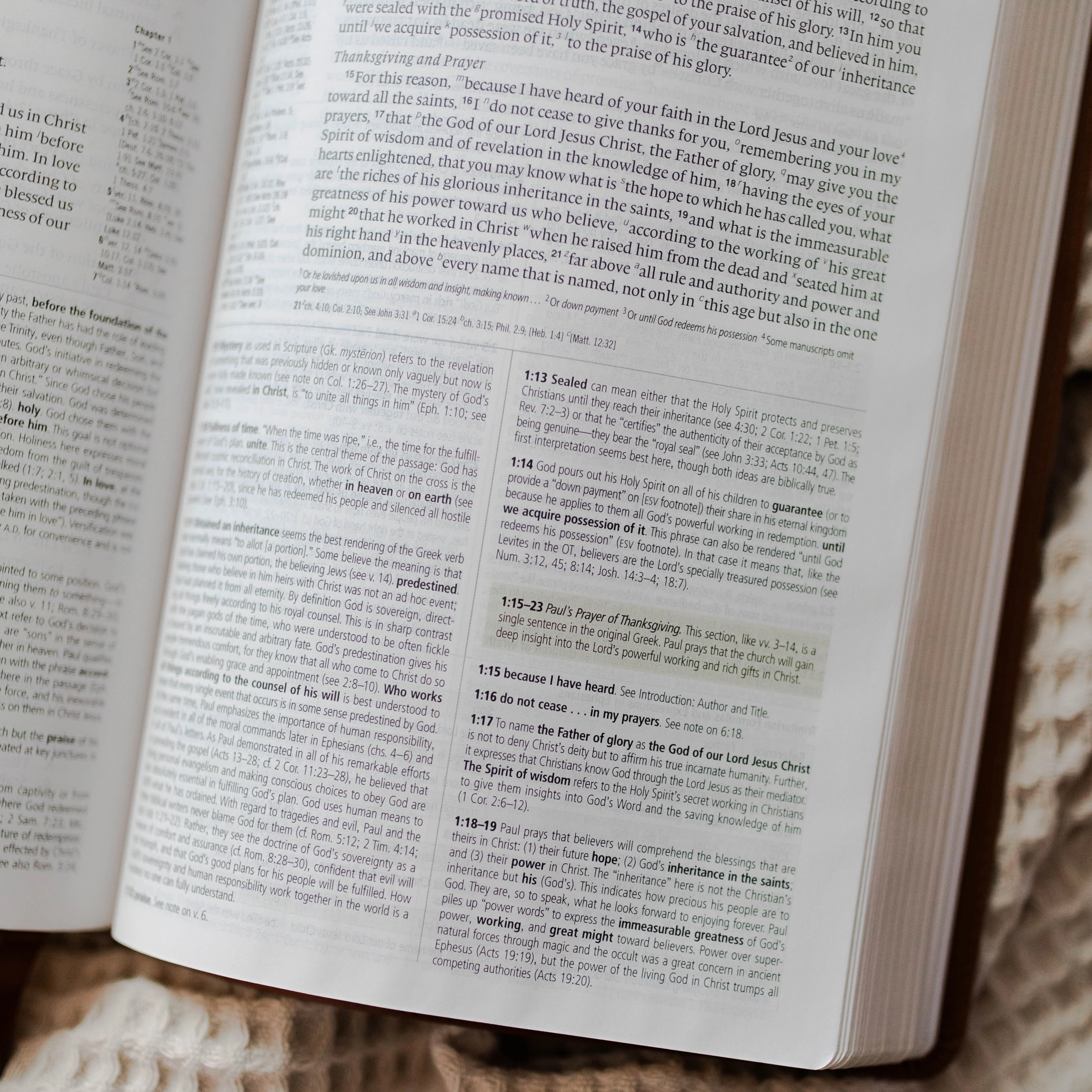 ESV Study Bible, TruTone® | Wondrous Things - Image 6