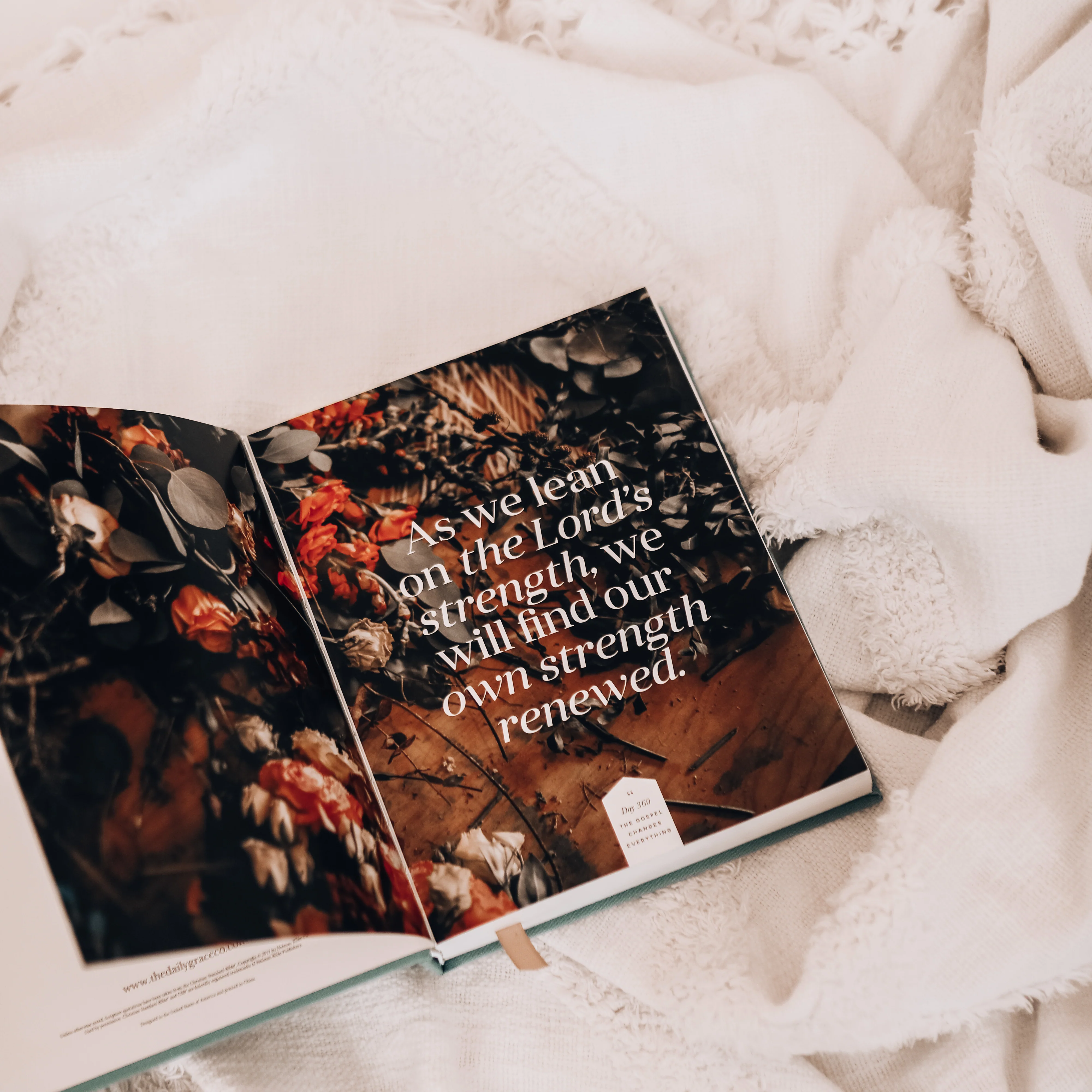 The Gospel Changes Everything | 365-Day Devotional - Image 3